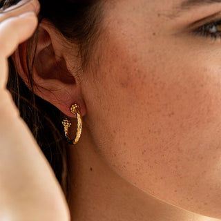 Capucine De Wulf Berry Slice Small Hoop Earrings - Gold