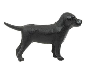 Cast Iron Lab in Black labrador retriever