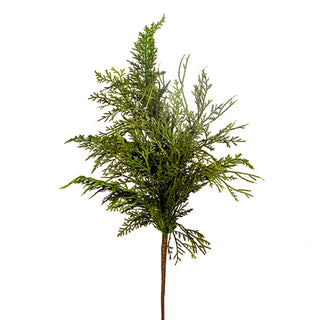 Cedar Spray 27"