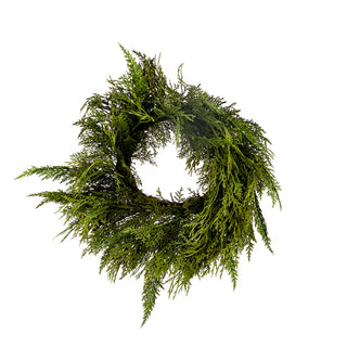 A green artificial pine or cypress wreath with dense, feathery foliage, isolated on a solid white background. Cedar Wreath 24"