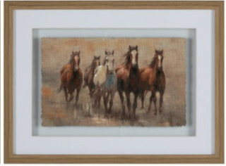 horse beach water white brown