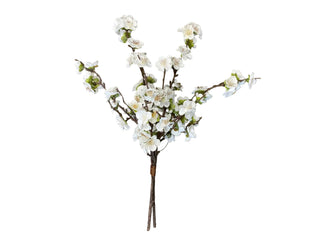 Christmas Balsam White