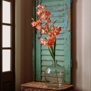 Coral Cymbidium Orchid Quadruple Stem  pink orange