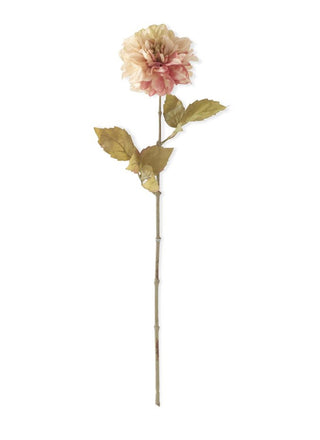 Coral Dahlia Stem 24.5" pink beige