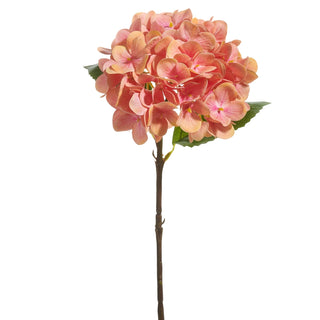 Coral Hydrangea Stem 18"