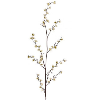 Cream White Plum Blossom Branch 60"
