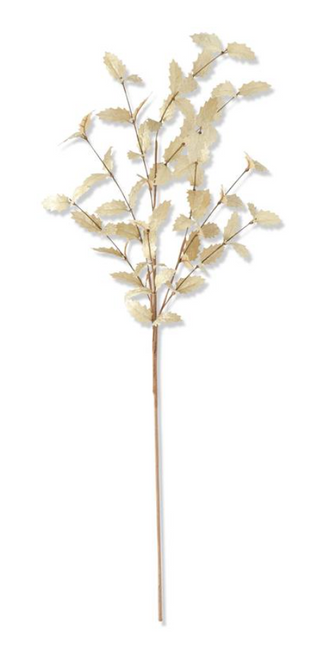 Cream with Gold Holly Leaf Stem 36"