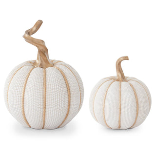 Cream with Gold Indian Corn Pumpkin Assorted