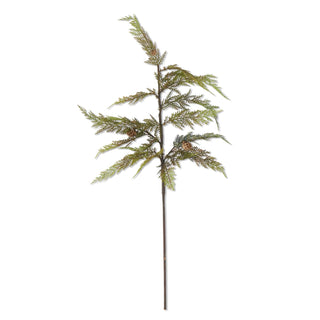 Cypress Pine Stem with Mini Pinecones 37"