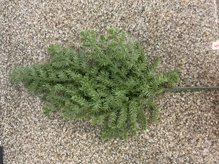 Real Touch Pine Stem 25"