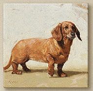 A canvas print of a Dachshund dog standing and facing forward on a plain background.