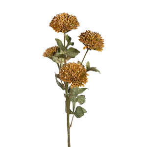Dahlia x 4 in Beige