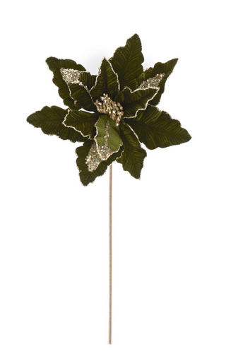 Dark Green Velvet & Gold Sequin/Glittered Poinsettia elegant