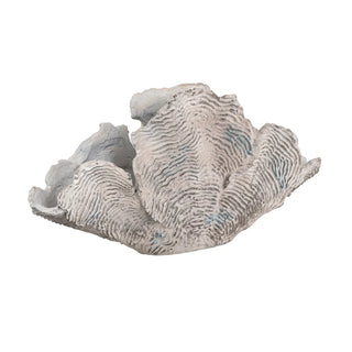 Deacon Coral Sculpture coastal beach shell ivory gray