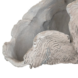 Deacon Coral Sculpture coastal beach shell ivory gray