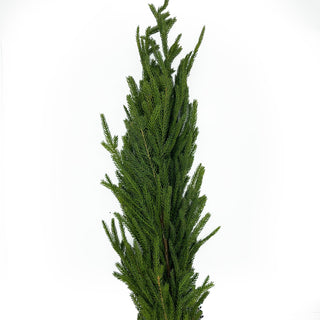 Deluxe Austrian Pine Real Touch Garland