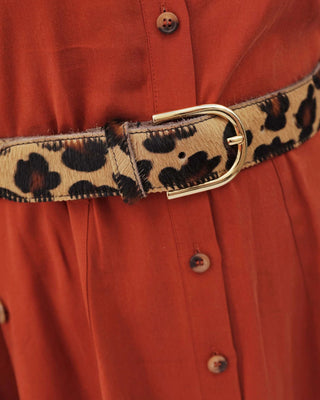 Diane Wide Cow Hair Belt in Leopard gold buckle black brown camel cream tan
