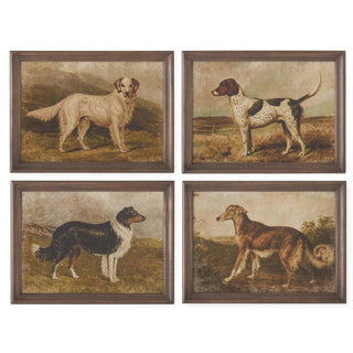 Four framed paintings of dogs in a natural setting
