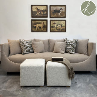 Dog Print Assorted room