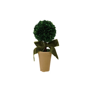 Dried Boxwood Tree in Terra-cotta Pot with Green Velvet Bow emerald preserved olive