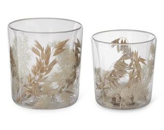 Dried Floral Filled Double Wall Glass Vase Assorted Sizes