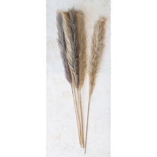 Dried Pampas Grass Bunch (Each One Will Vary) natural dried botanical