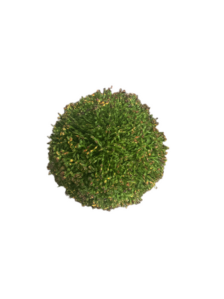 Medium Sedum Ball 4"