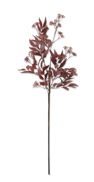 Eucalyptus Bud & Foliage Stem in Burgundy
