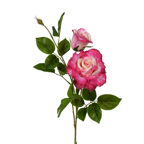 Rose x 2 Dark Pink