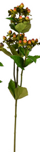 Load image into Gallery viewer, Hypericum Stem Assorted
