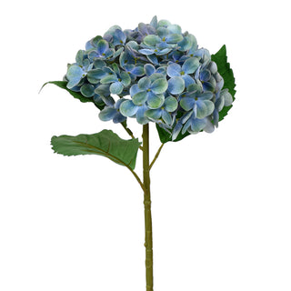 Large Hydrangea Dark Blue
