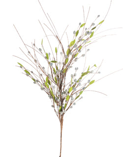 Pussy WIllow Spray