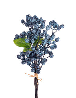 Blueberry Bundle