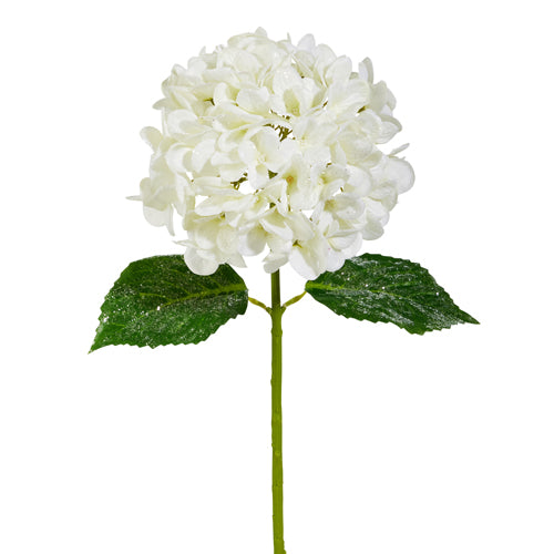 Iced White Hydrangea Stem