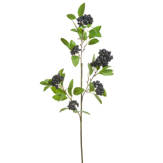 Dark Blue Berry Spray