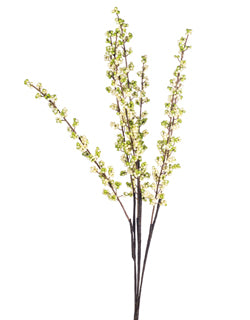 Cream Green Berry x 7