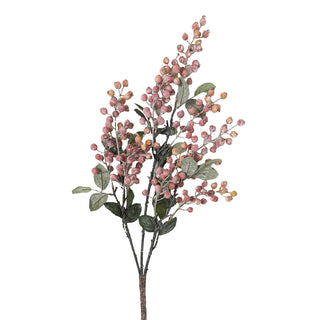 Gooseberry Bush Salmon