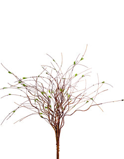 24" Orange Twig Bundle