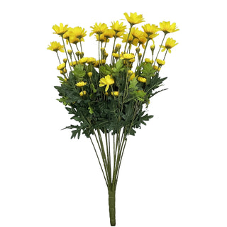 Daisy x 18 Yellow