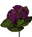 Dark Purple
