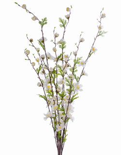 Cherry Blossom Bundle Cream