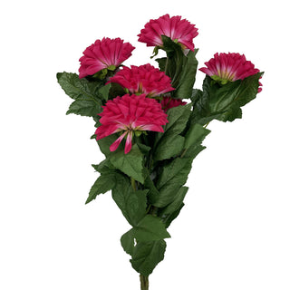 Dahlia x 7 Assorted