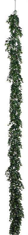 Boxwood Garland