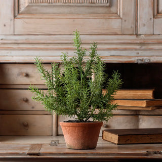 Faux Potted Rosemary green herb realistic