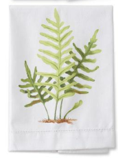 Fern Hand-Painted Cotton Guest Towel Assorted
