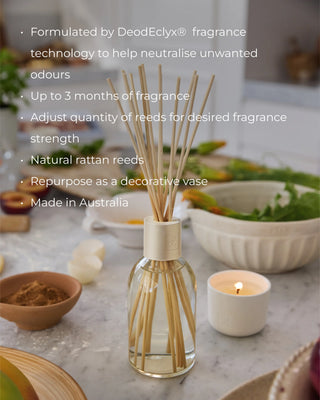 CIRCA Alchemy White Tea & Wild Mint Diffuser 8.4 fl.oz