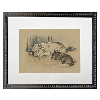 Framed Vintage Dog Sketch on a Brown Background Matted in Cream A