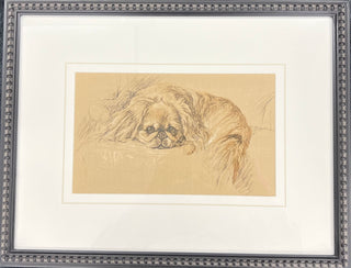 Framed Vintage Dog Sketch on a Brown Background Matted in Cream G