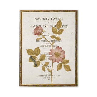 Framed Vintage Floral & Butterfly Print on Title Page