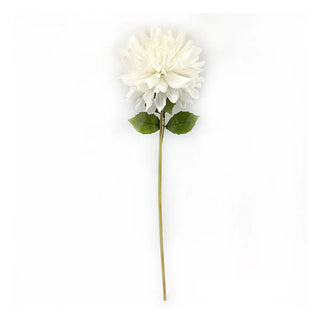 Fresh Touch Dahlia Stem in White flower floral